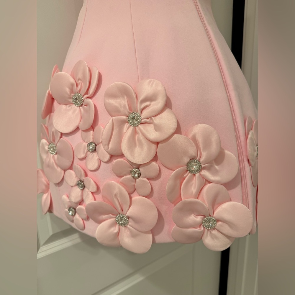 NWOT BRONX AND BANCO Estelle Blush Mini Dress ,Elegant Pink Floral Dress - Picture 14 of 15